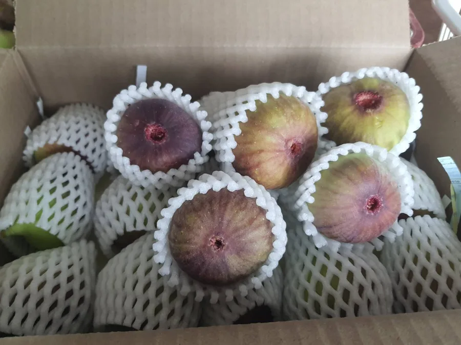Figs wrapped one by one in foam nets