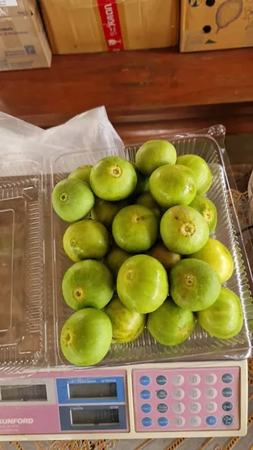 Everyday Fresh Figs, real photo