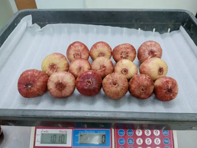 Everyday Fresh Figs, real photo