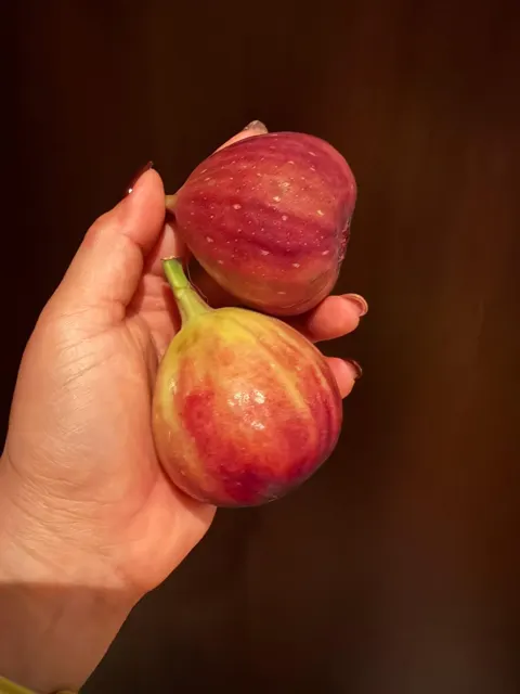 Everyday Fresh Figs, real photo