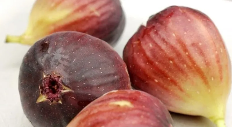 Red and purple figs, up close