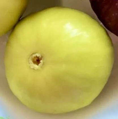 Yellow fig, smooth and golden